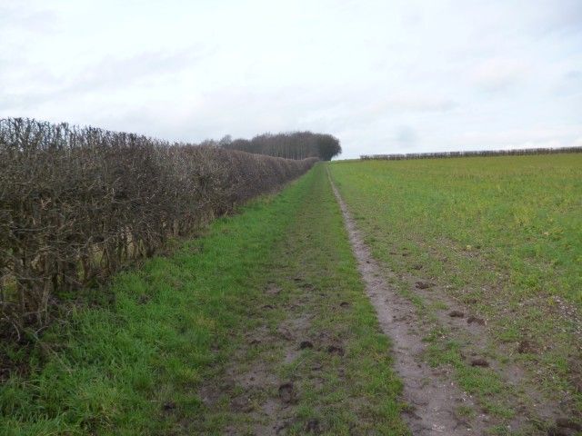 Track past Etton Woods